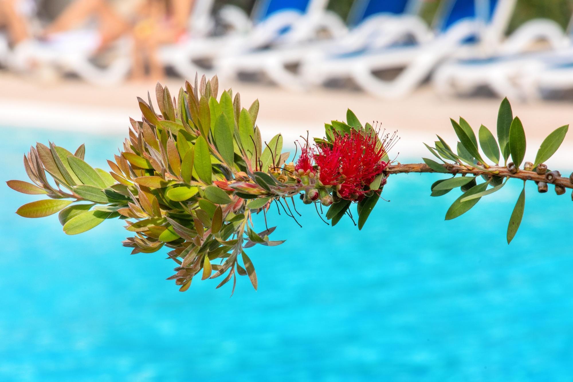 Sowell Family Riviera Hotel Saint-Raphael  Bagian luar foto